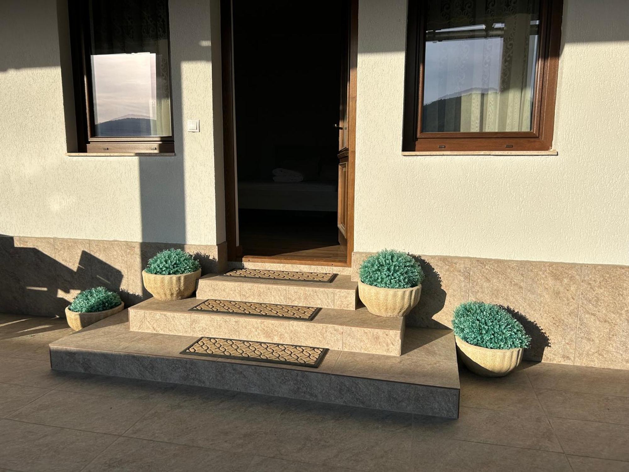 Gura Raului Casa De Vacanta别墅 外观 照片